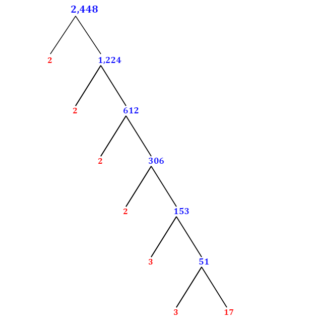 prime-factorization-of-2-448-with-a-factor-tree-mathondemand